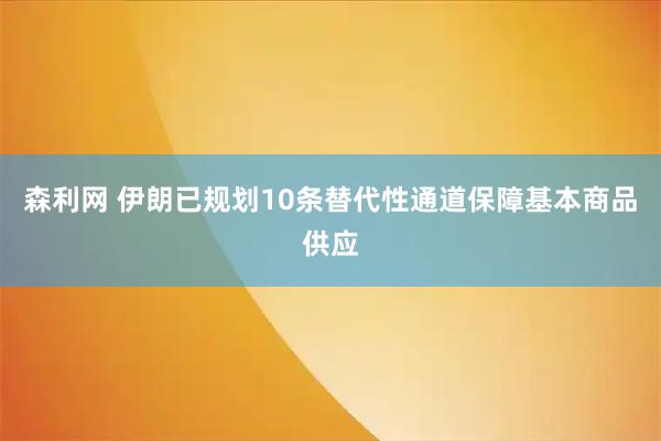 森利网 伊朗已规划10条替代性通道保障基本商品供应